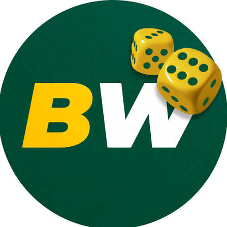 BetWinner Bookmaker Your Comprehensive Guide to Betting Success
