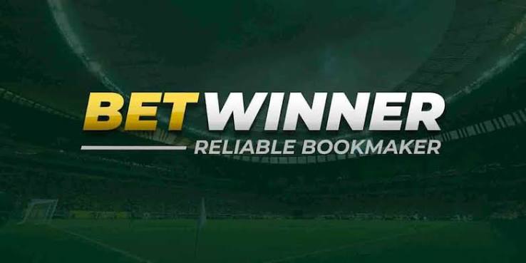 BetWinner Bookmaker Your Comprehensive Guide to Betting Success