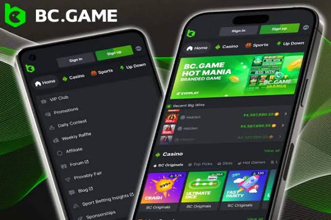Experience Exciting Gaming at BC Game Online Casino