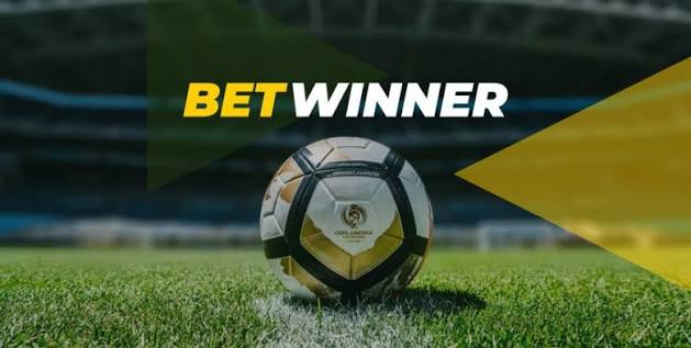 Exploring the BetWinner Benin Platform A Comprehensive Guide